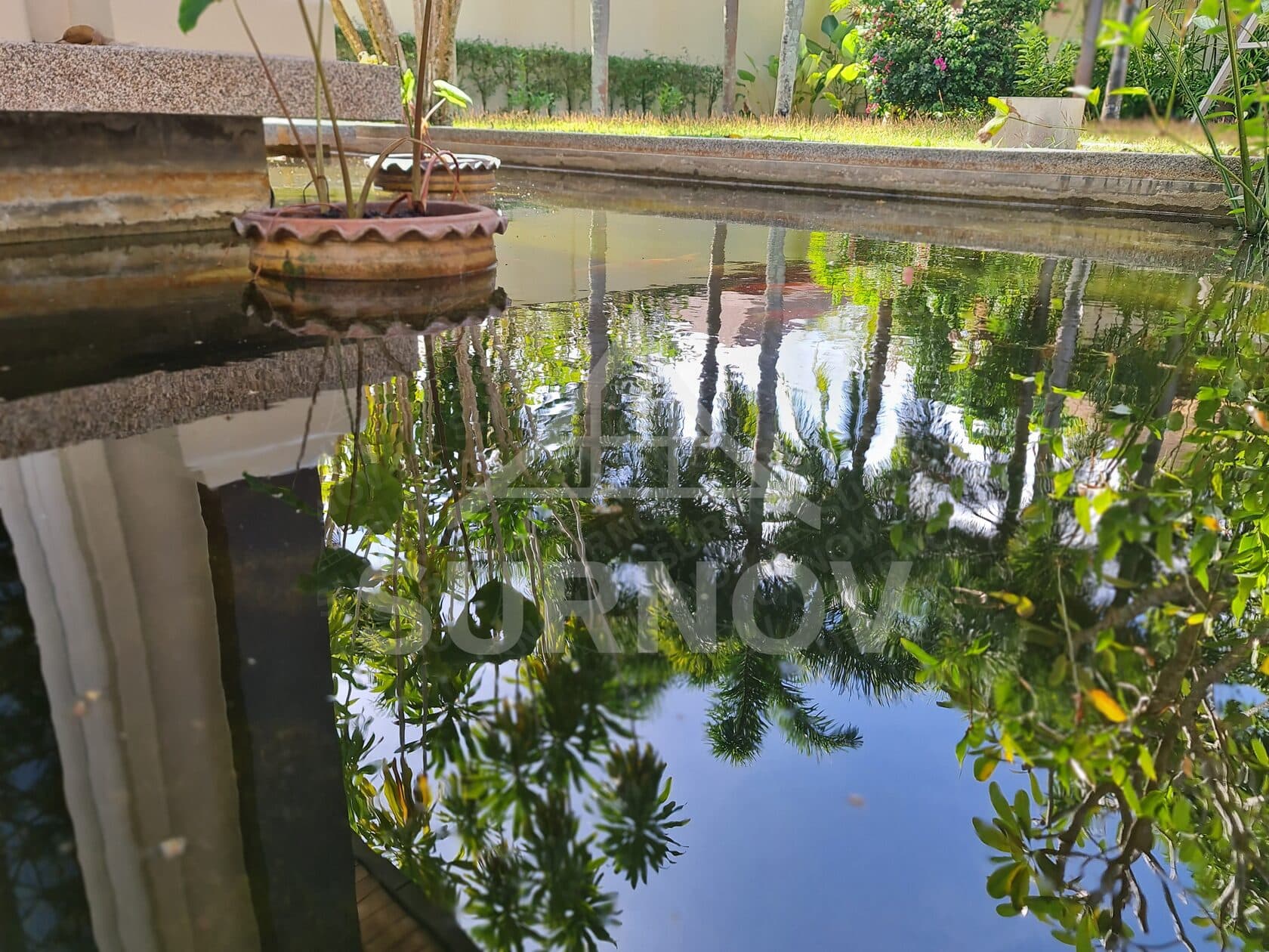 4-bedrooms Private Pool Villa on Rawai