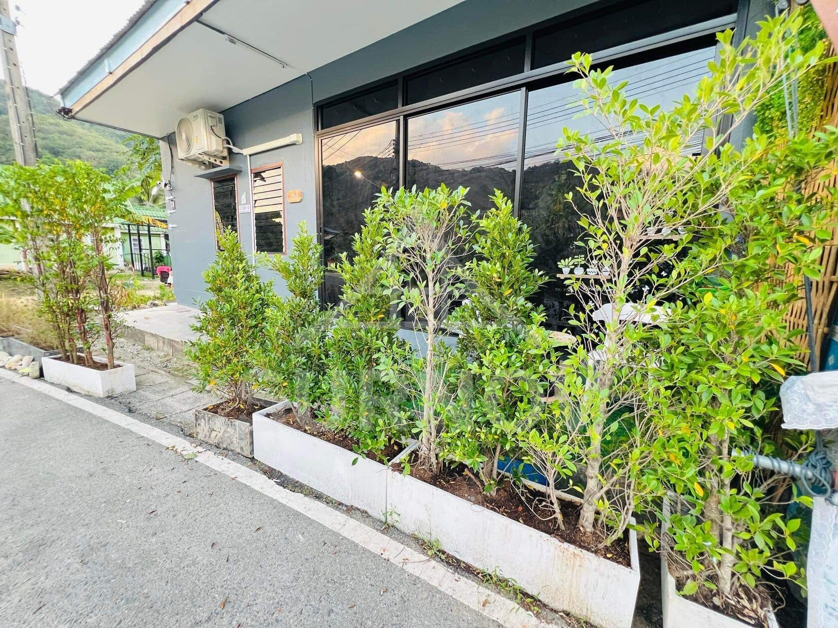 1-bedroom House on Bang Tao
