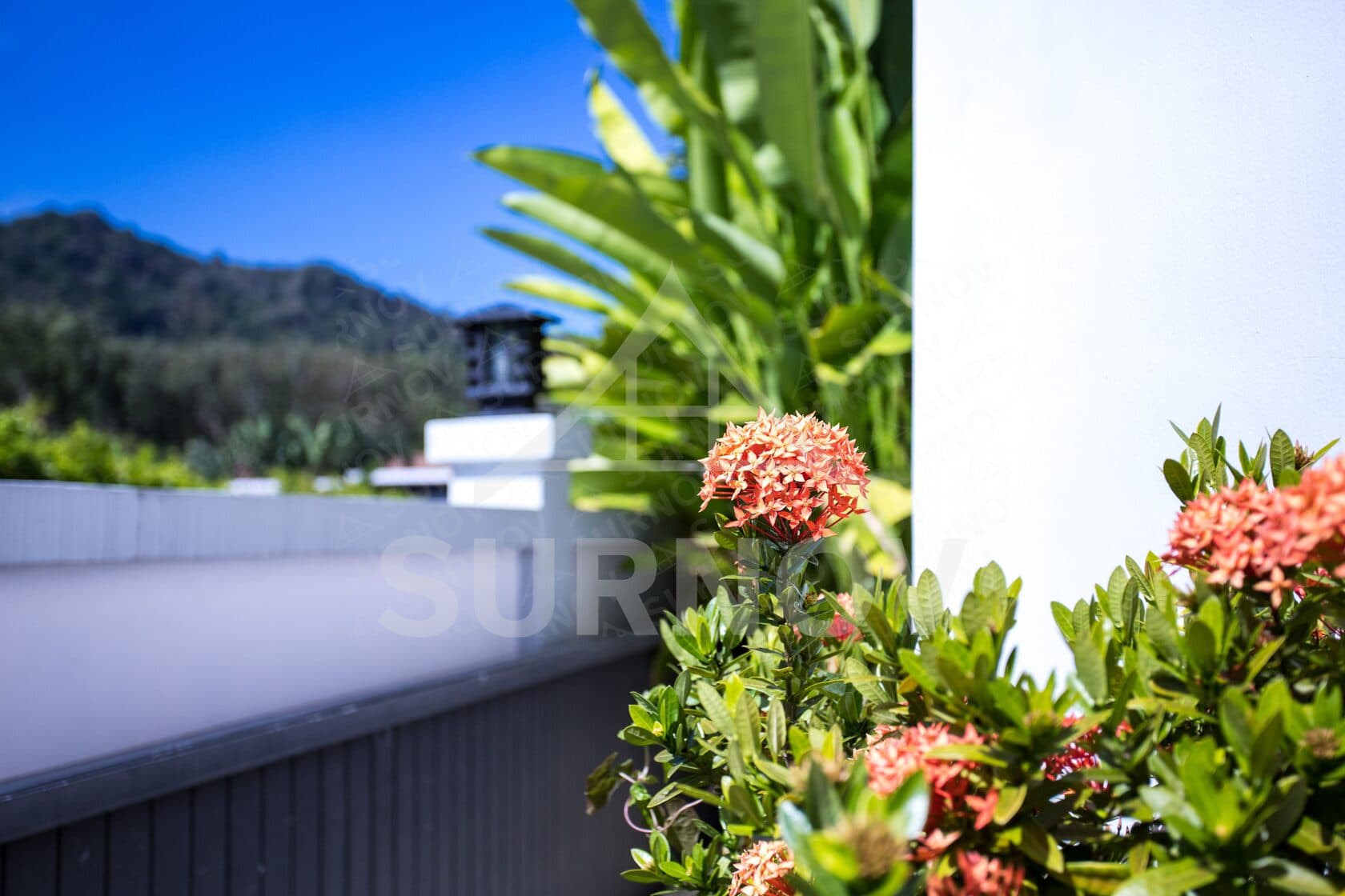 3-bedrooms Private Pool Villa on Rawai